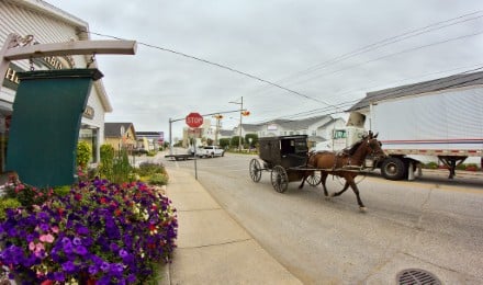 Free time in Downtown Shipshewana